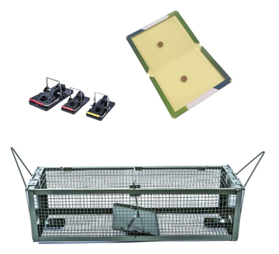 抓鼠工具廠家
