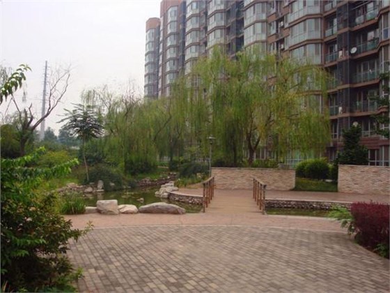 小區為什么要放創衛鼠餌盒