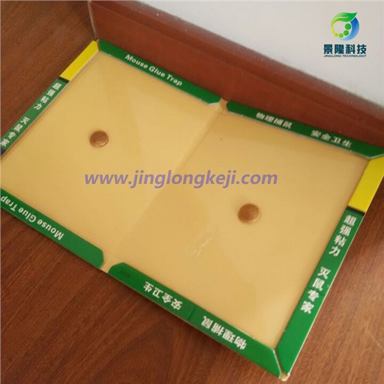 粘鼠板可以用在哪些地方