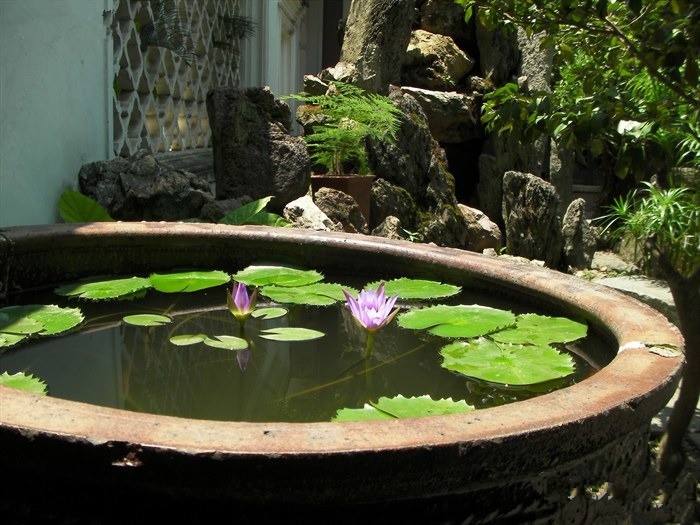 據(jù)工廠滅蠅燈廠家調(diào)查，如果去除溪澗的樹(shù)叢或灌木叢，使這類積水暴露于陽(yáng)光之下，就能避免這種按蚊孳生